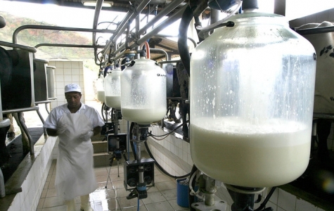 Queda brusca de valor pago pelo leite assusta produtores gaúchos