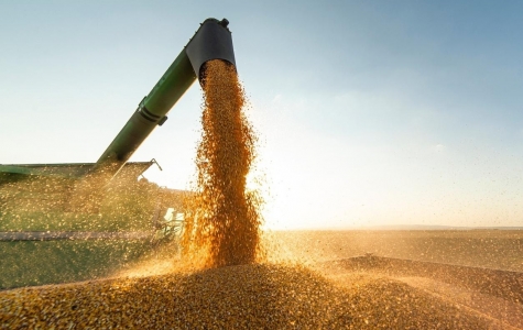 Mato Grosso começa colheita da maior safra de soja da história do Brasil